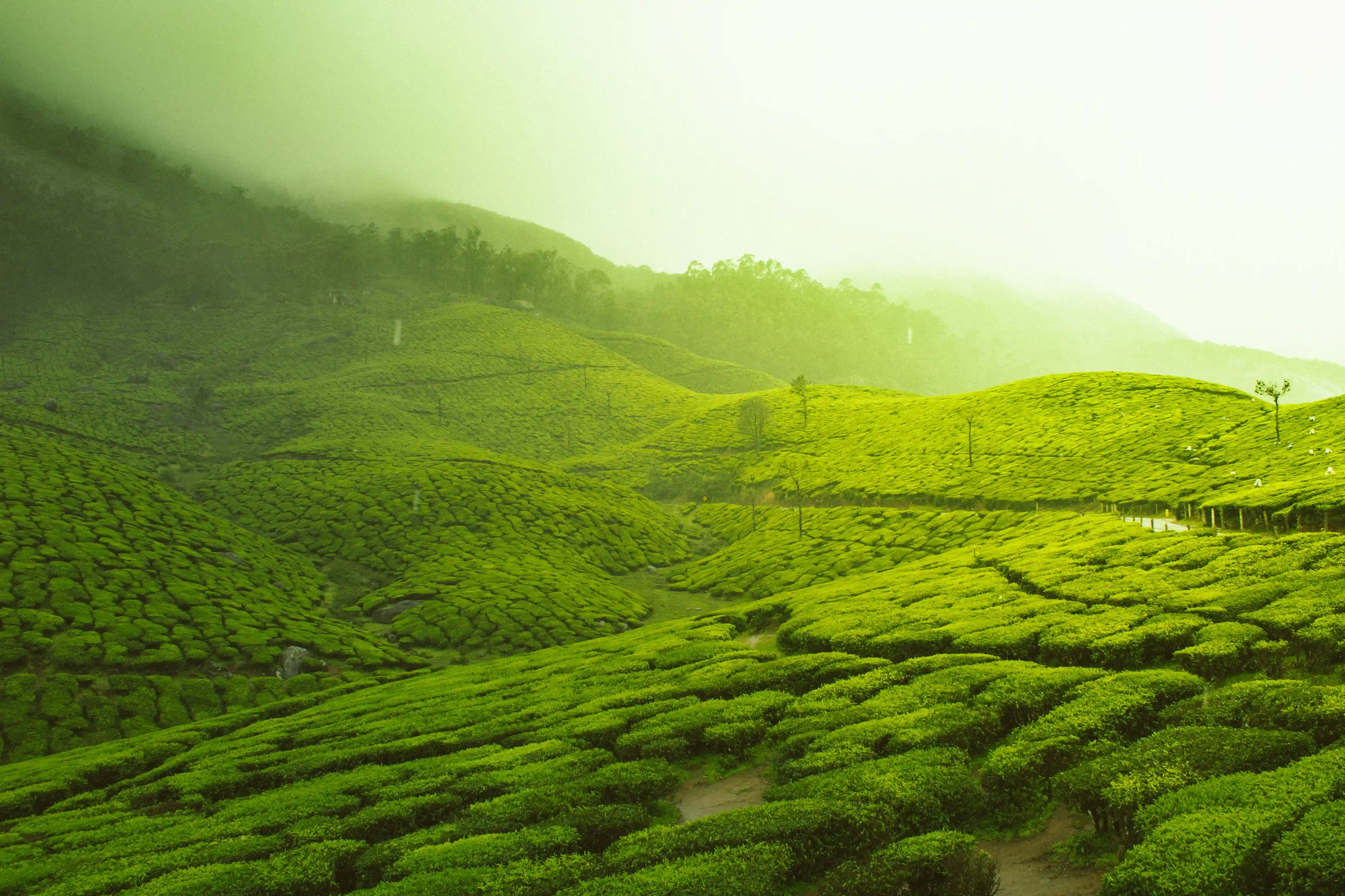 Ooty destination — VR Travels