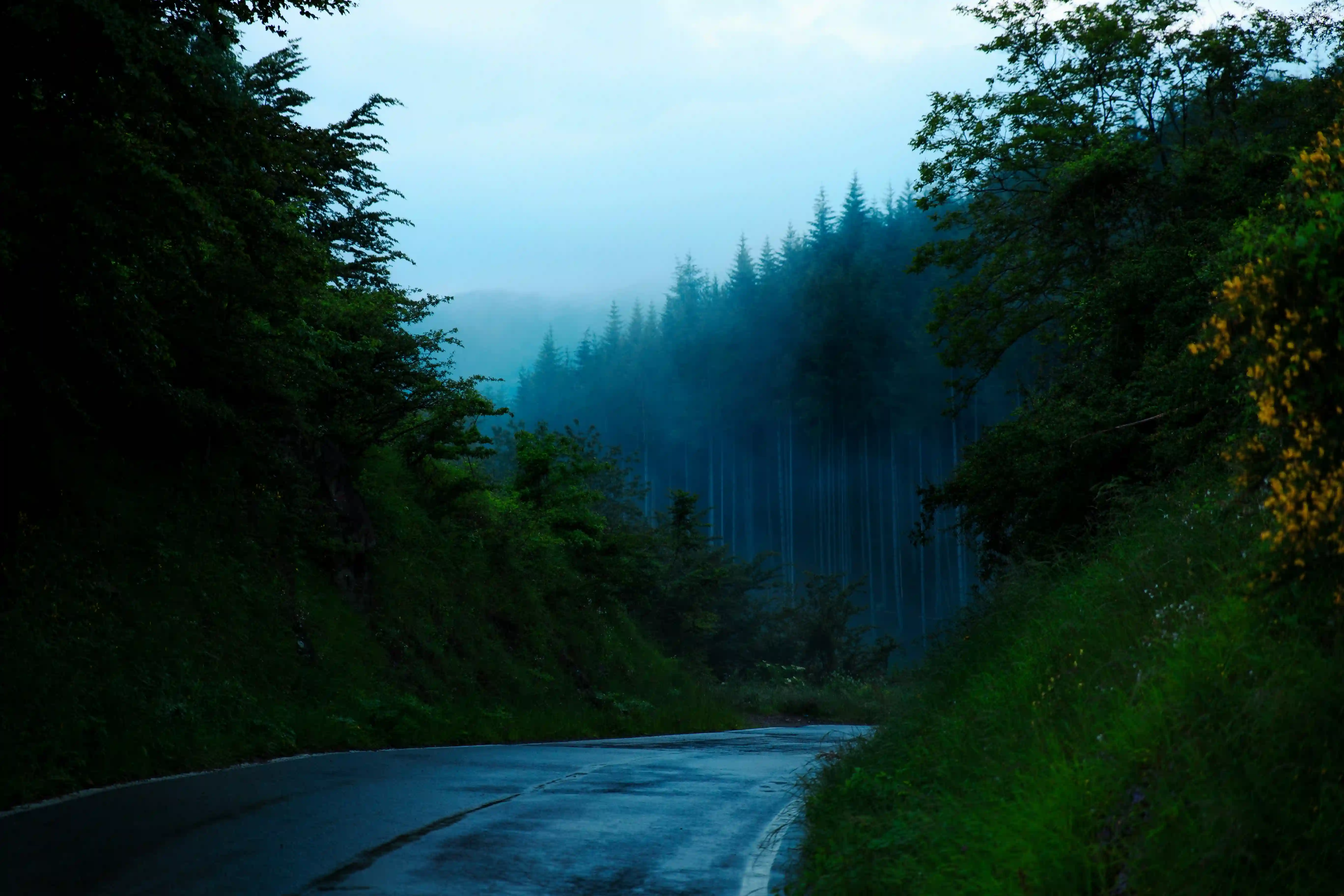 Valparai destination — VR Travels